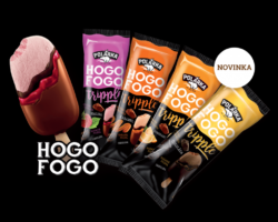 hogo-fogo